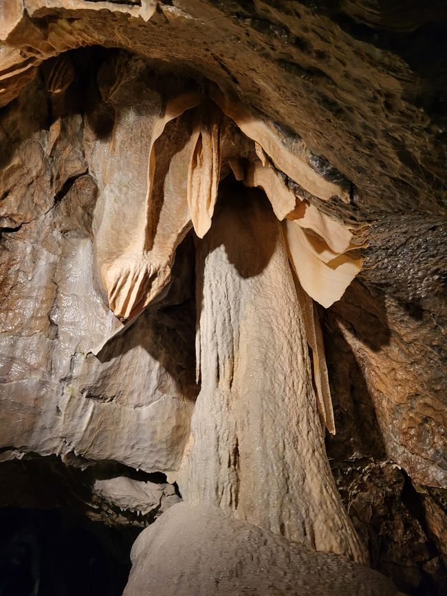 Cave tour in the Moravian Karst and Brno