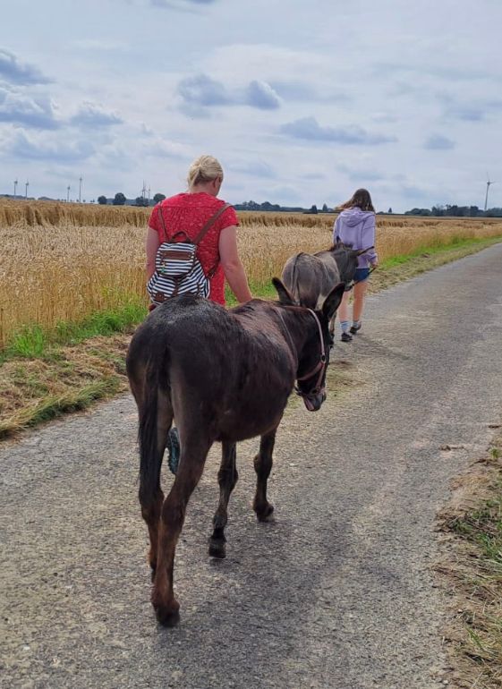 Randonnée à dos d'âne dans le Sauerland