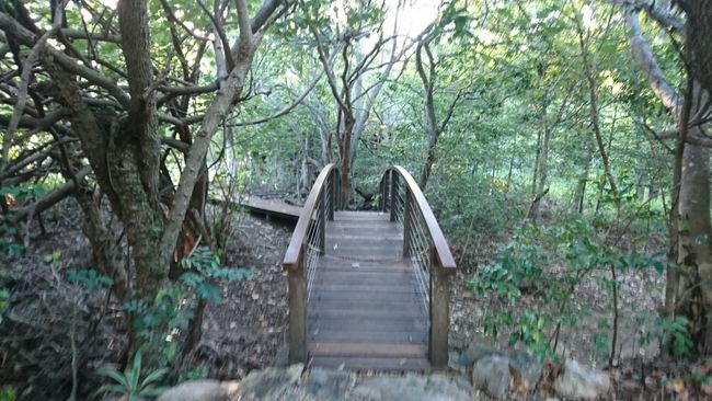 Bridge to our private area. Notice the small chain separating the area!