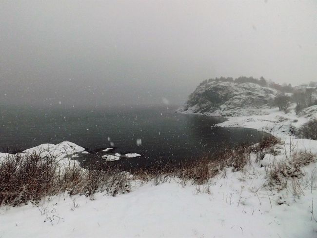 Fjord and persistent snow today :)!