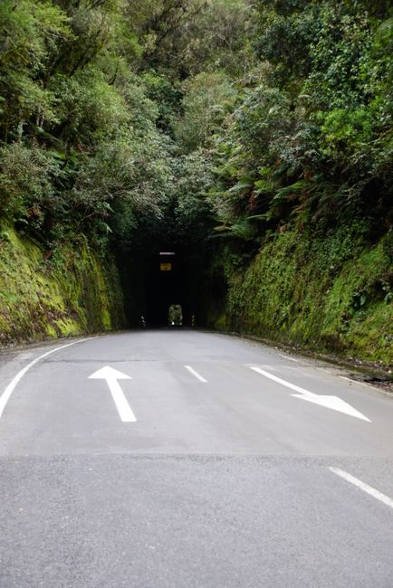 Moki Tunnel/Hobbit's Hole
