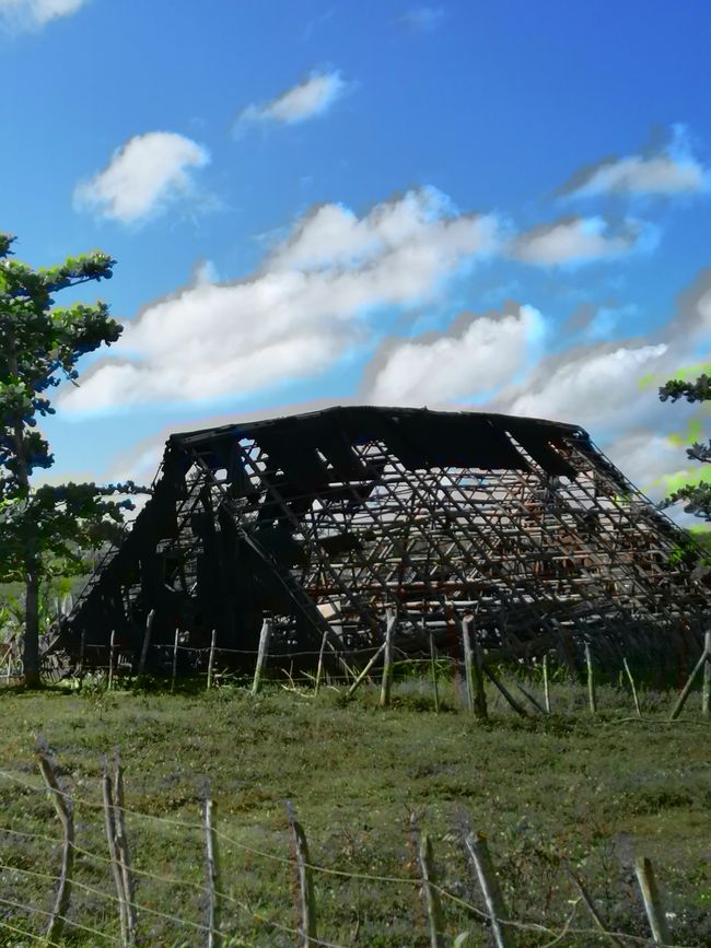 Hut for drying tobacco - after the tornado