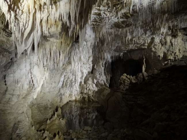 Wunderschöne Tropfsteinhöhle bei den Waitomo Caves