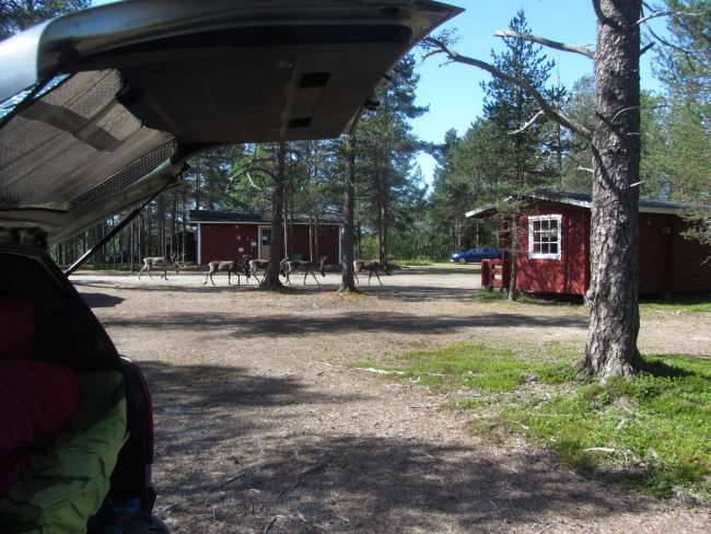 Urho Kekkonen National Park-Nuortti Track - Hiking in the deepest Lapland