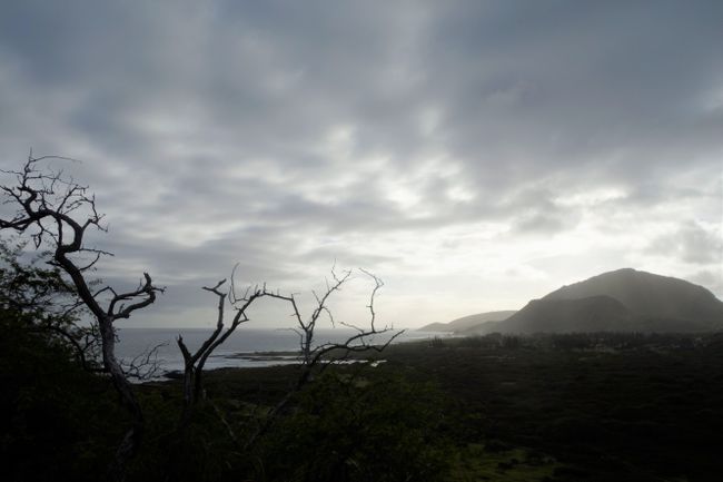 Makapu'u Point - Sendero del Faro (costa este)