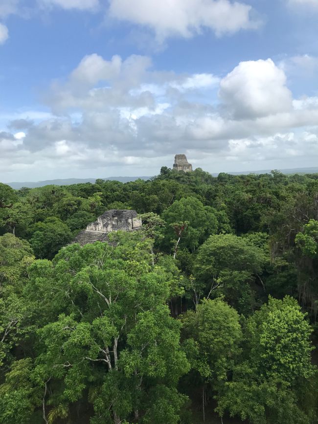 View over the Maya city and the jungle
