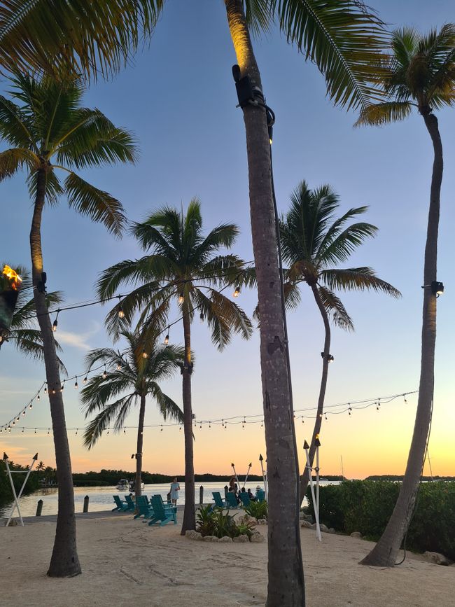 Key West – Baracudad ja päikeseprillid.