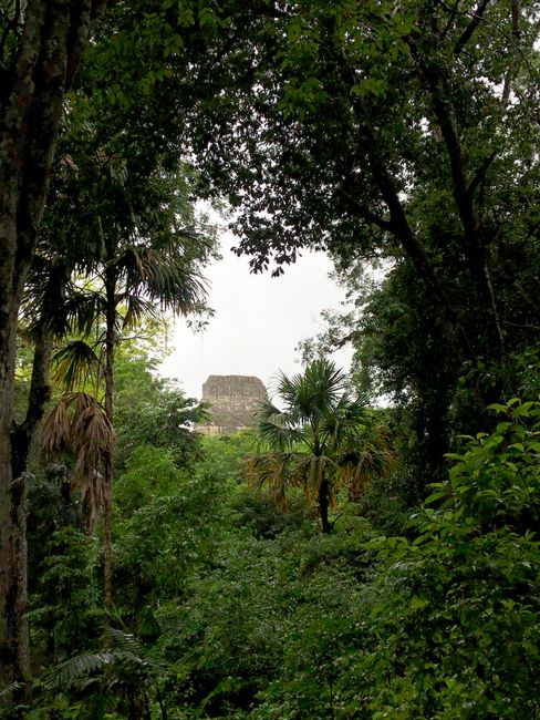 Guatemala #1 - Flores & Tikal