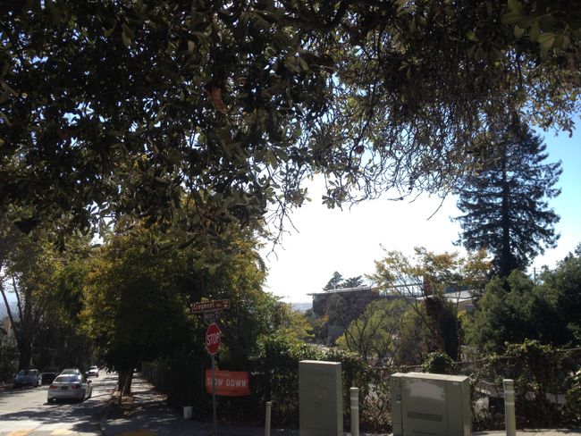Bay West: San Francisco y Berkeley