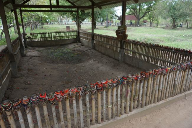 Mass grave at the Killing Fields
