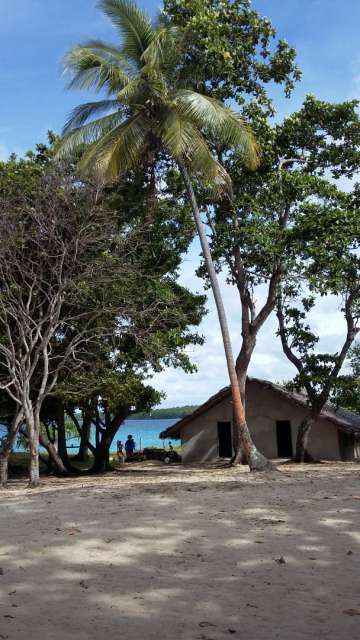 Vanuatu, New Caledonia, Solomon Islands