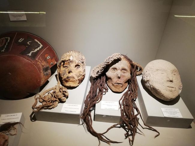 Museo Didactico Antonini: Trophy Skulls