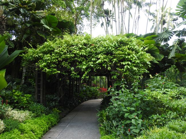 Singapur Botanical Garden + Marina Bay Sands