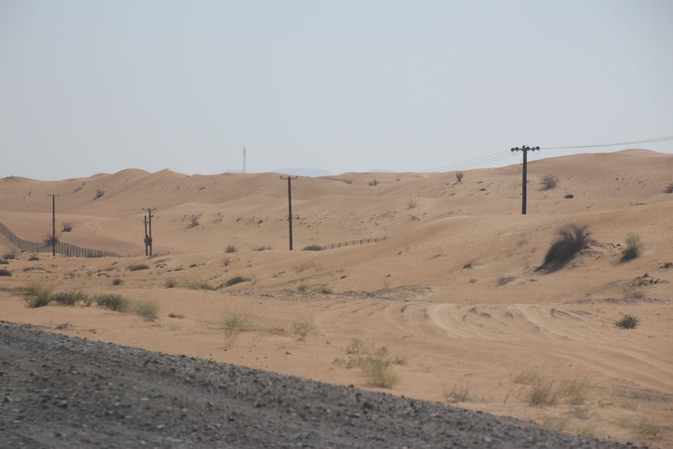 Ab in die Wüste