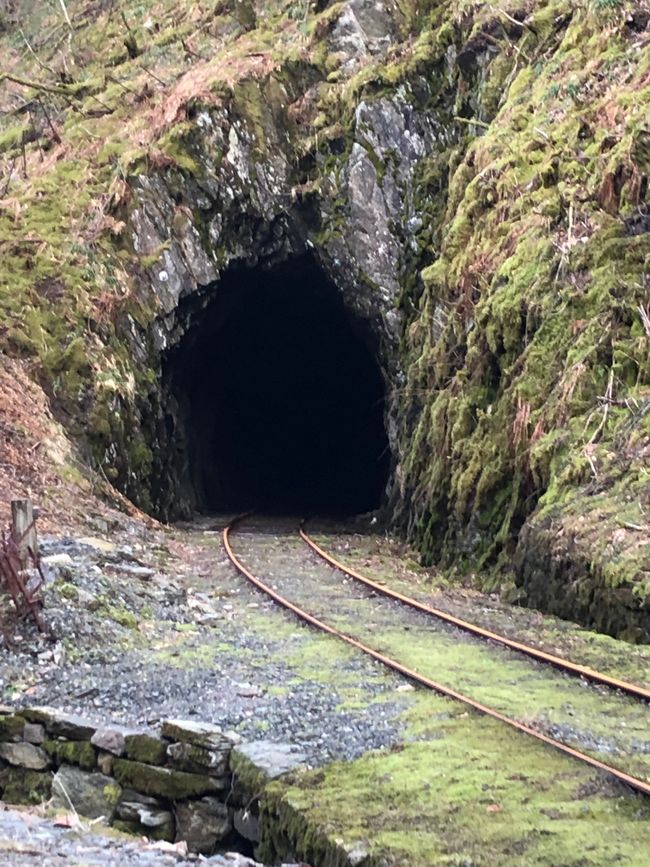 Abandoned railway tunnel