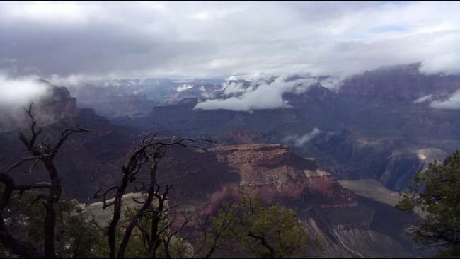 Finally - Grand Canyon