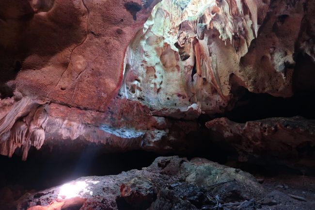 Cave exploration and plantation visit