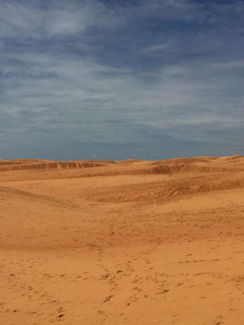 Red Dunes 😊