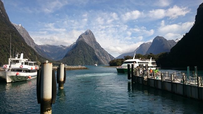 Und dann endlich: Ankunft an der Anlegestelle des Milford Sound. 