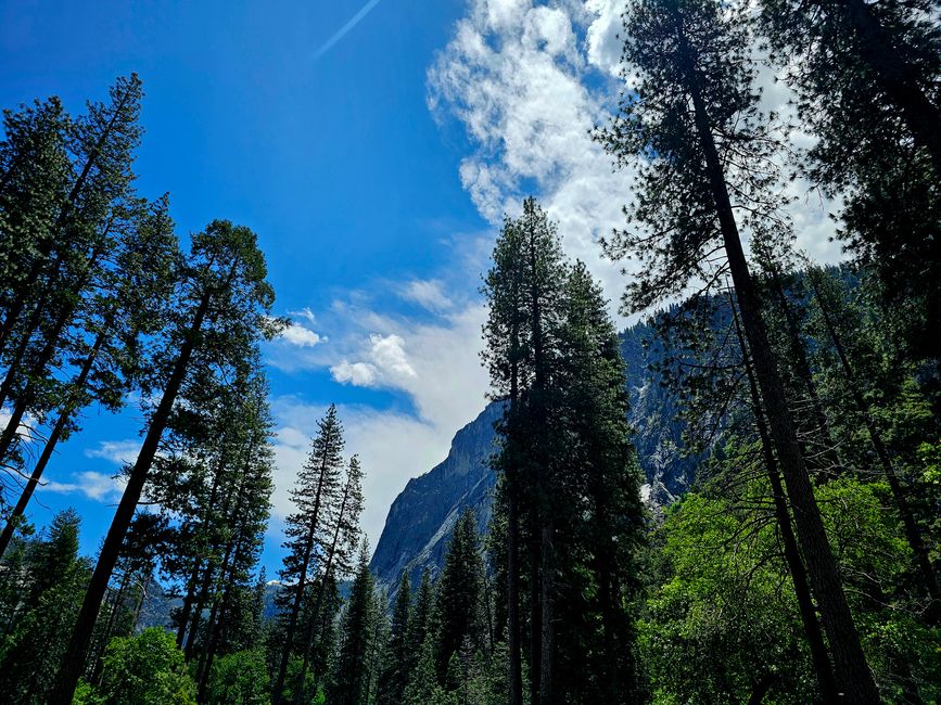 Yosemite National Park🥰