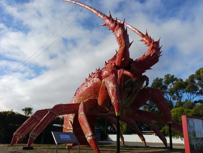One of the 'Big Things', a giant lobster