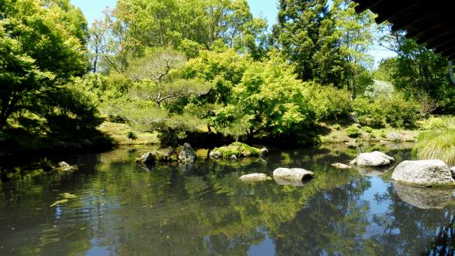 Japanischer Garten in den hamilton Gardens