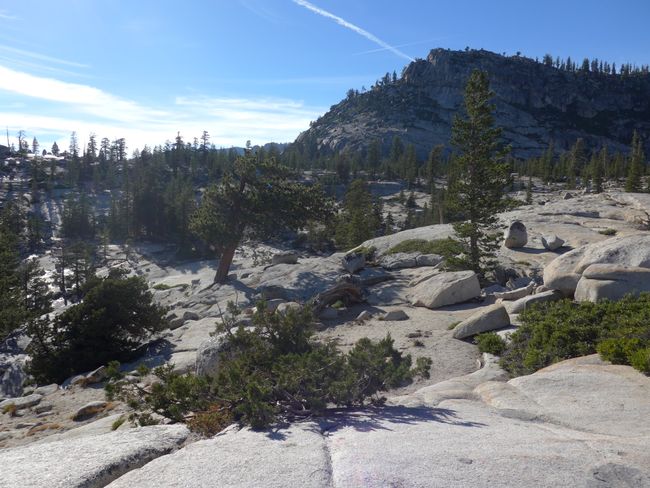 Yosemite (Roadtrip Westen der USA Teil 2)