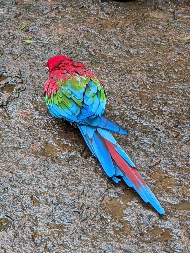 07.06.2022 - Vogelpark und Wasserfälle