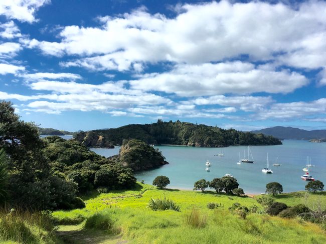 Die windstillere Bucht von  Motuora Island 