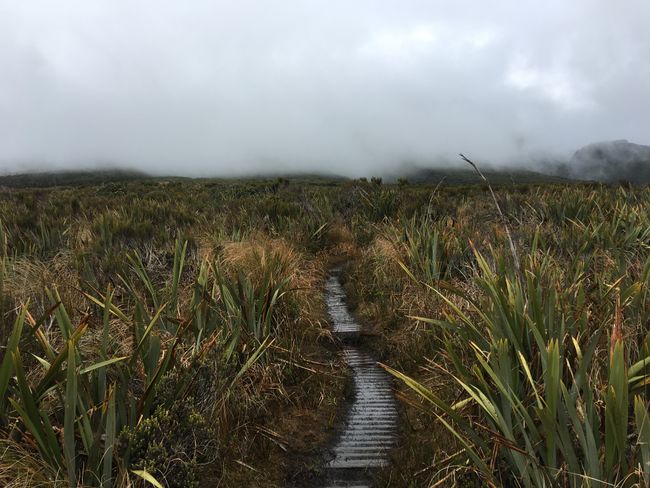 Mount Taranaki - Pouakei Crossing