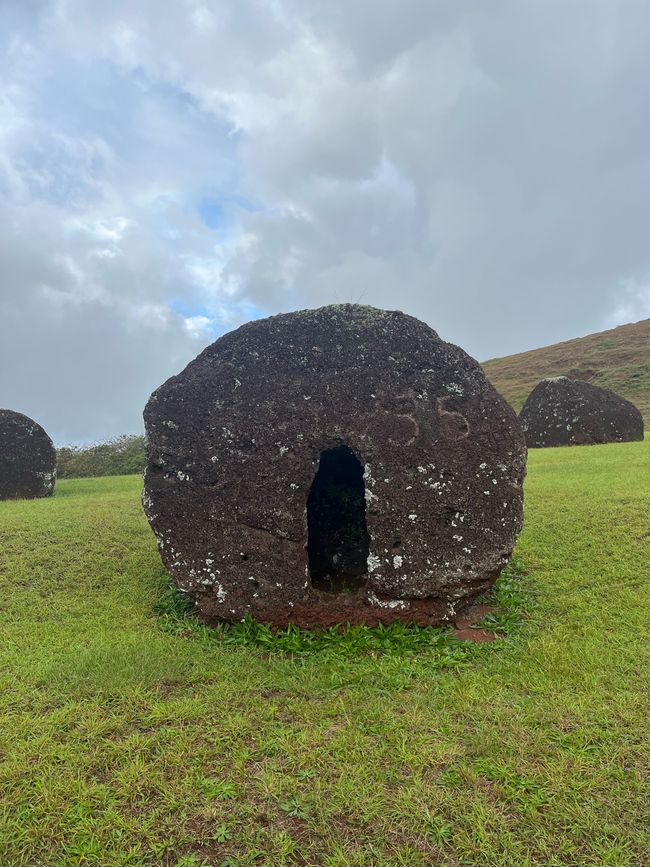 Die Frisur eines Moai von unten mit einer Aussparung für den Kopf