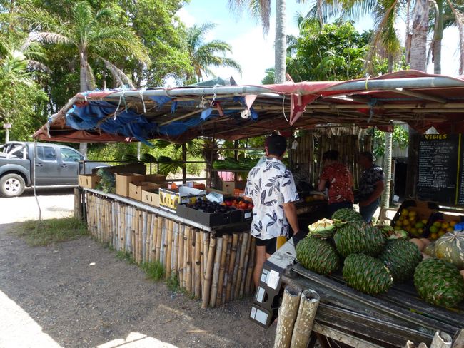 Fruit sale at the roadside
