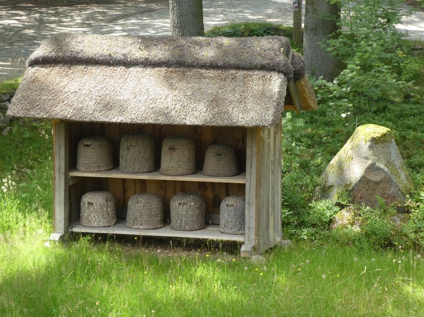 beehives in Wilsede