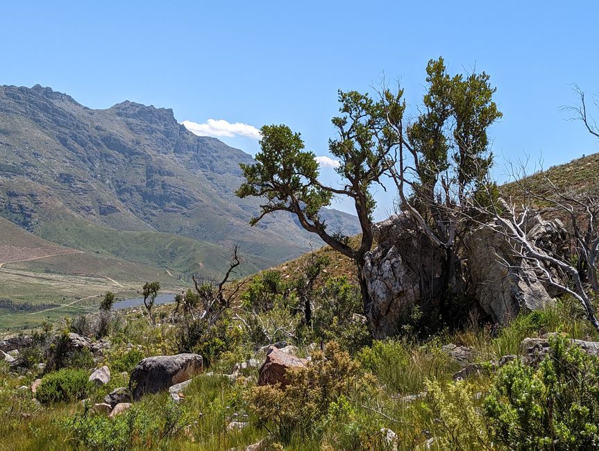 Biken im Jonkershoek Nature Reserve