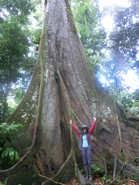 Iquitos మరియు అడవి గురించి - 5 Tage im Regenwald