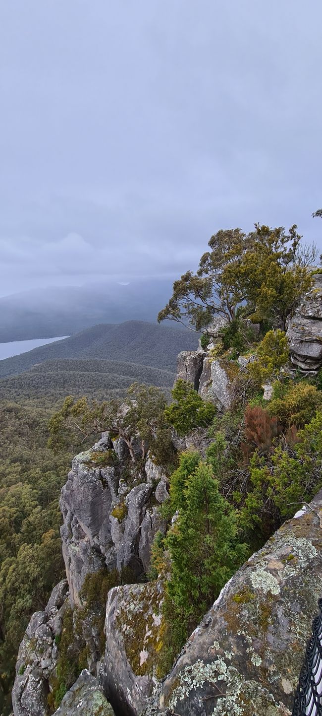 Day 10+11 - The Grampians, kangaroos with joeys