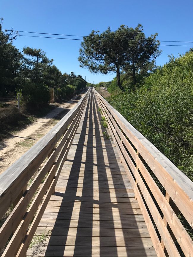 El muelle interminable