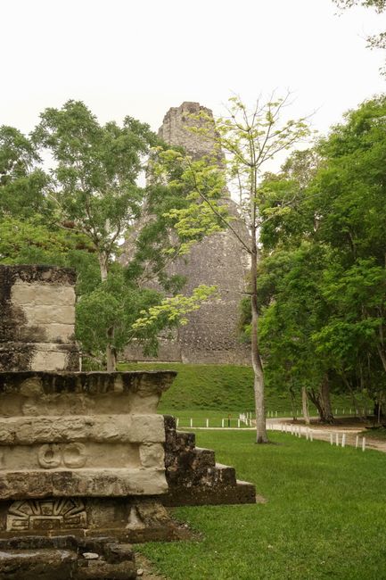 Die Ruinen von Tikal. Die erste Eindruck ist schon mal gigantisch. 