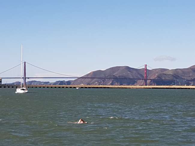 Nothing for wimps: Real tough guys swim in the bay. Brrrrrr! The water is freezing!