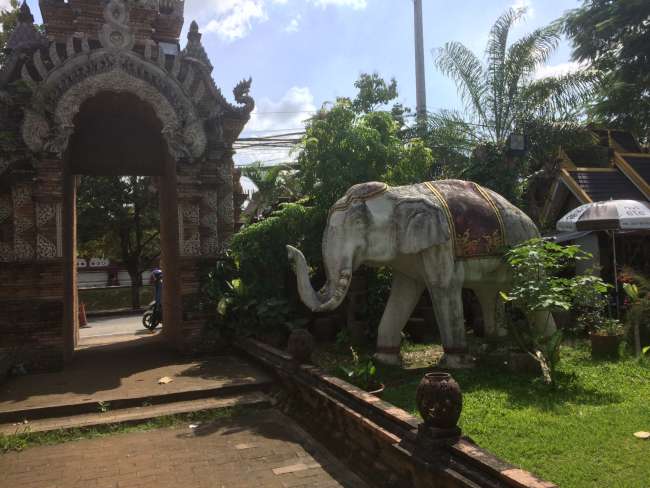The North of Thailand: Chiang Mai + Short trip to Bangkok