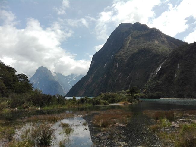 To Milford Sound and back