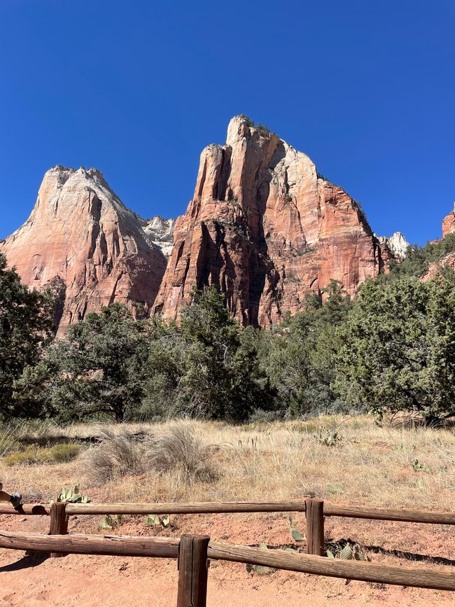 Zion National Park and back to Nevada