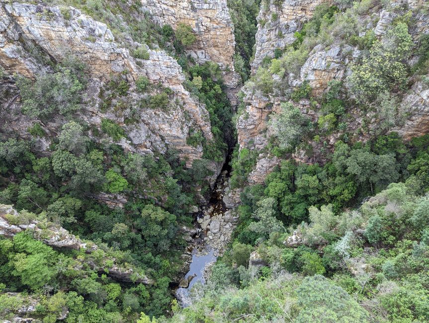 Schlucht von der Storms River Bridge