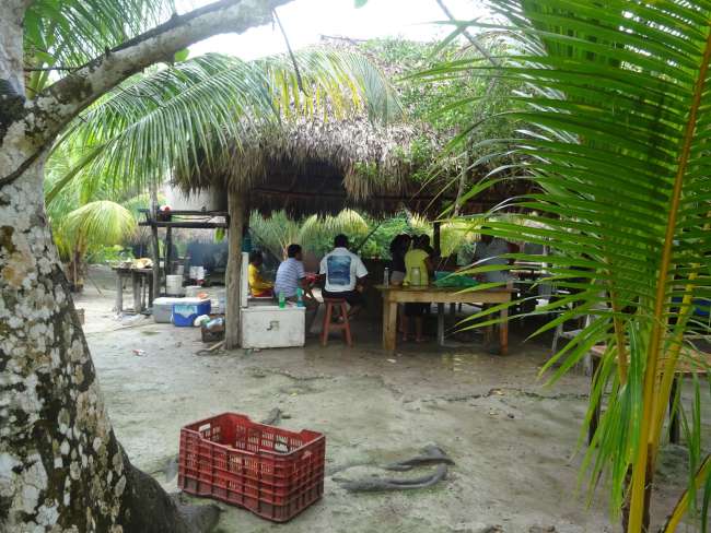 Mexikanisches Drogenlabor im Dschungel oder Ausflugsrestaurant. Im Dschungel kann man das schon mal verwechseln