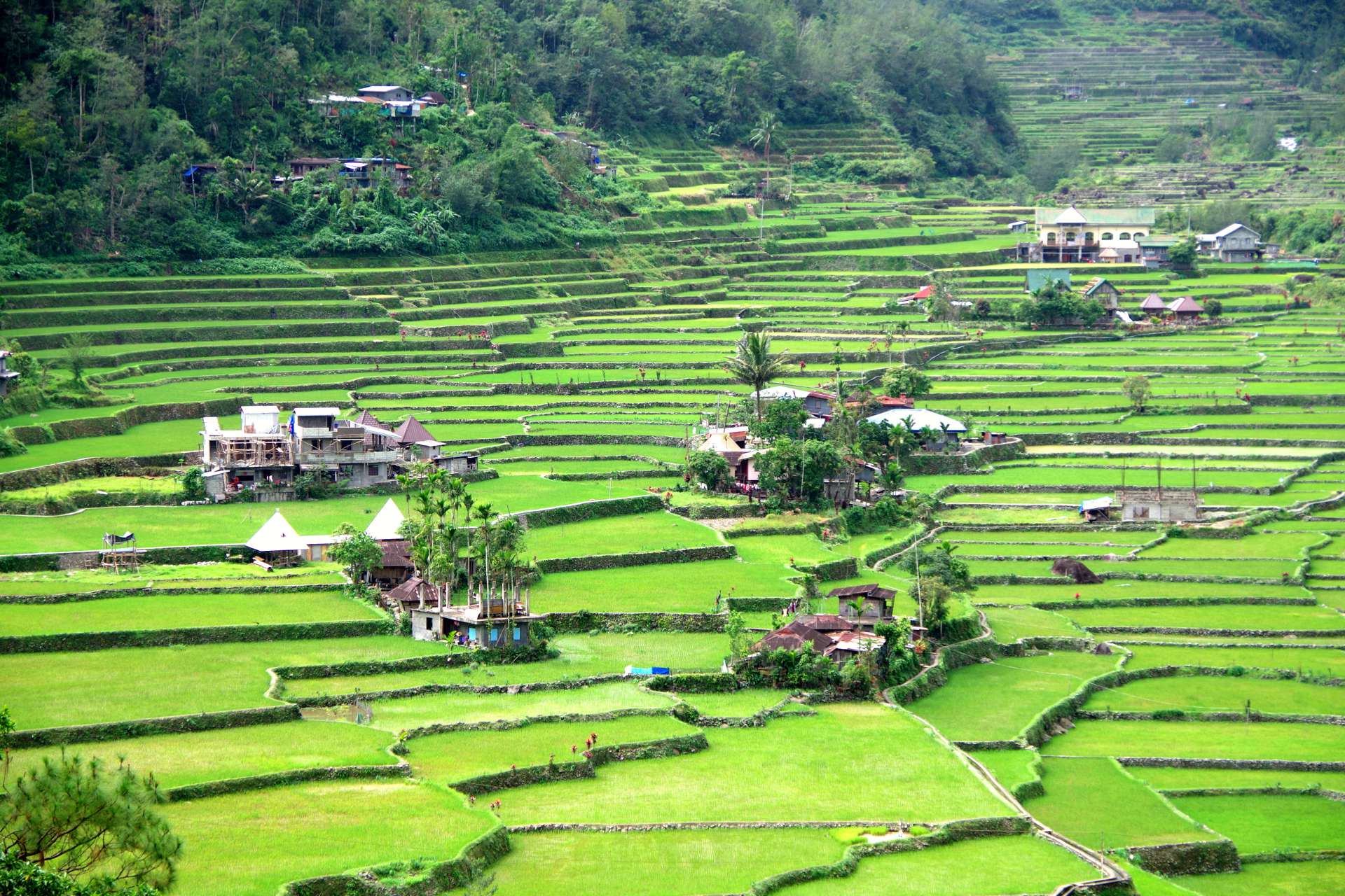 Reisterassen und Dörfer, Hapao