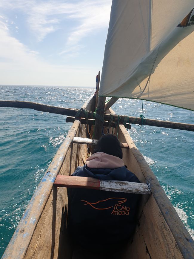On the high seas by canoe