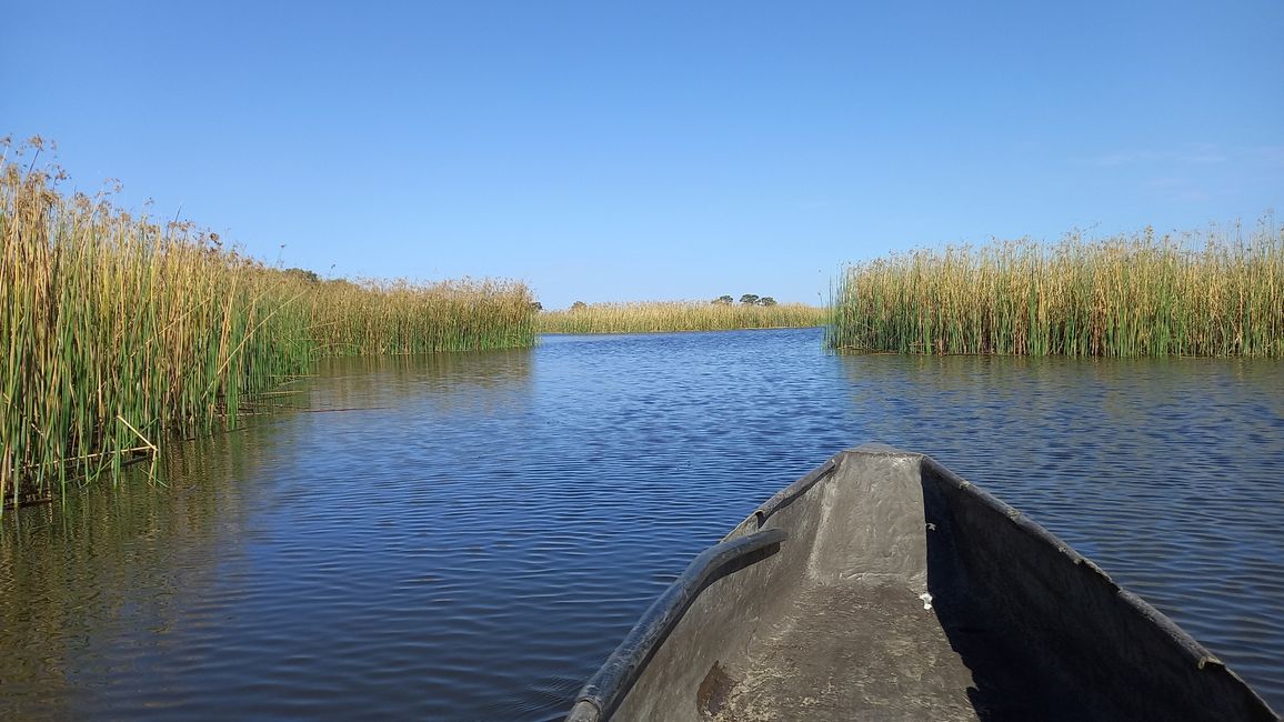 Do Delta do Okavango