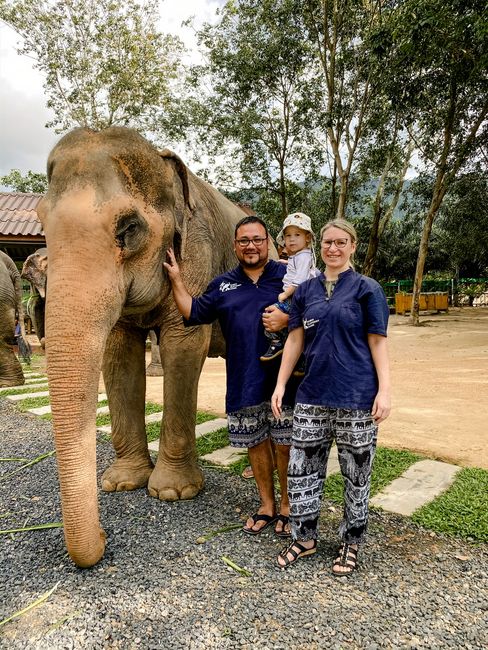 Მონიშნეთ 7 Koh Samui Elephant Sanctuary