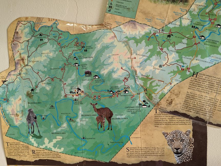 Hluhluwe-Imfolozi-Nationalparks