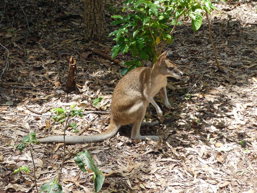 Darwin, Australien, 9. März 2023